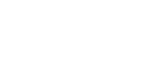 MRS Company Partner
