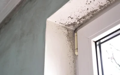 Exploring Clarion residents’ experiences of reporting damp and mould issues to improve the process
